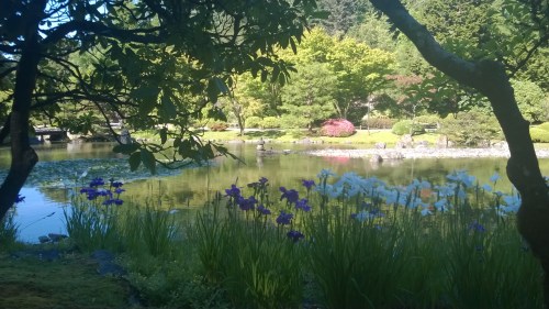 WP_20150614_17_20_21_Pro