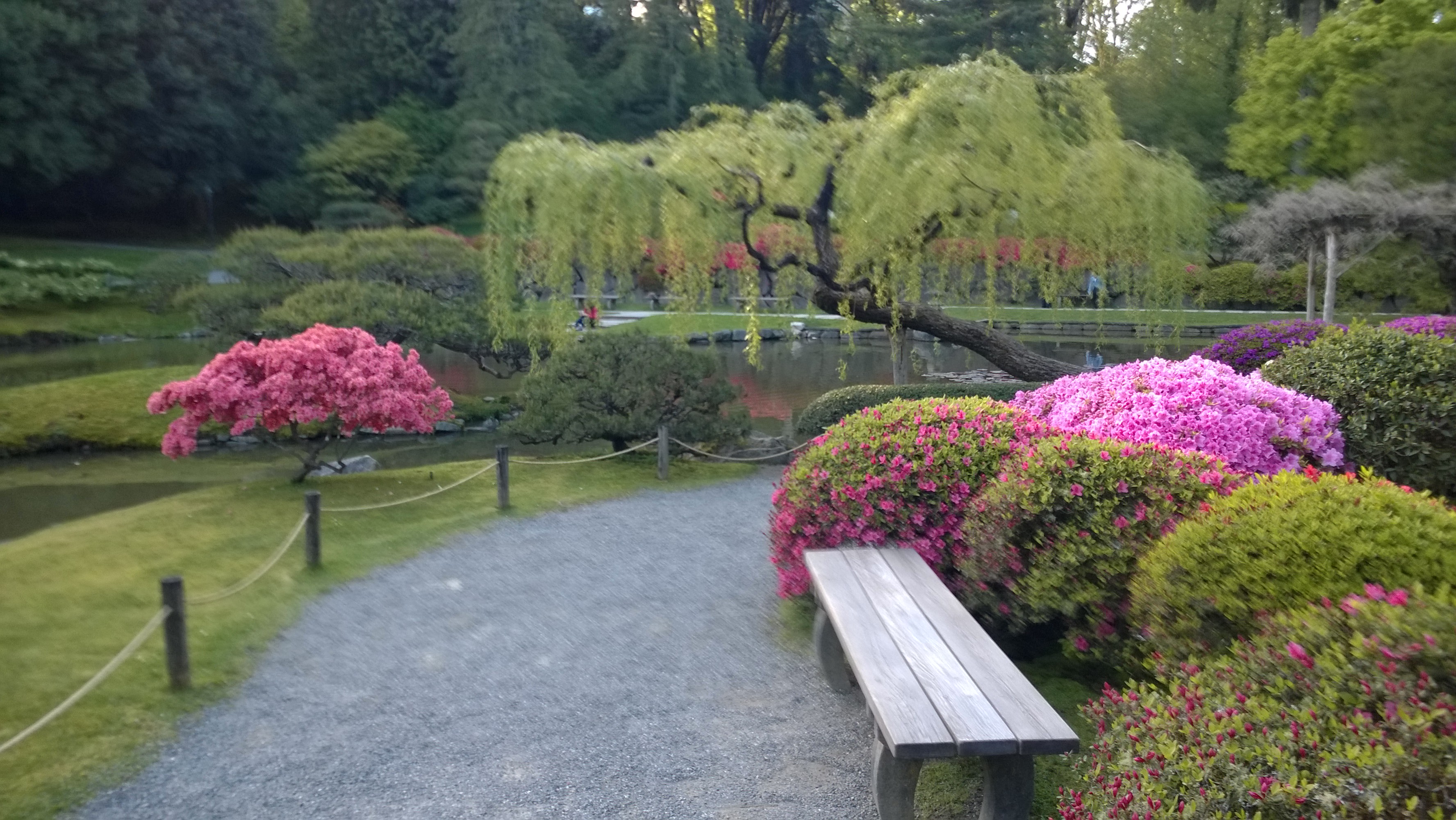 Spring Blooms at the Japanese Gardens | On the Way