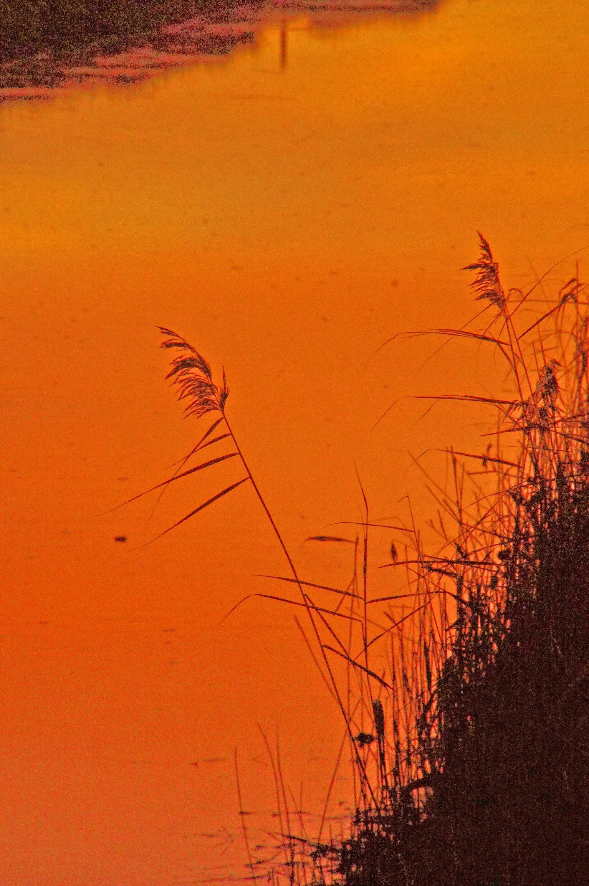 blind-yeo-and-moor_0027