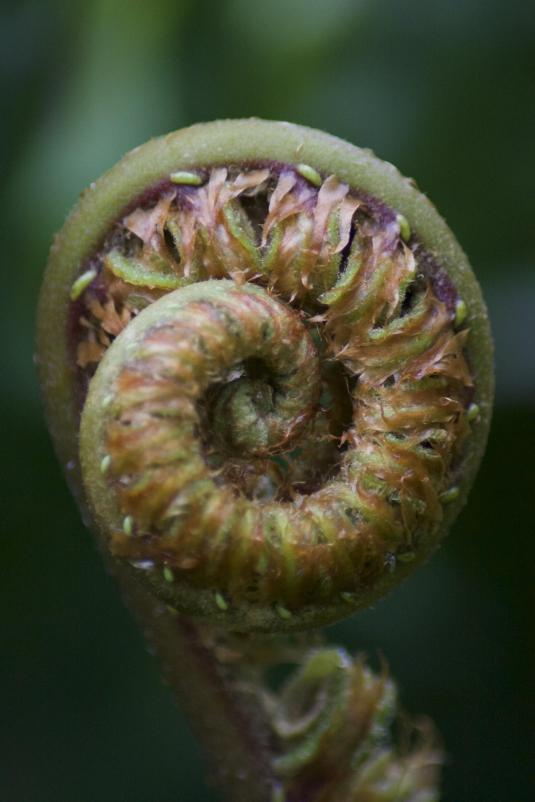 2df4c82db274d651d077890c2b3a5d1e