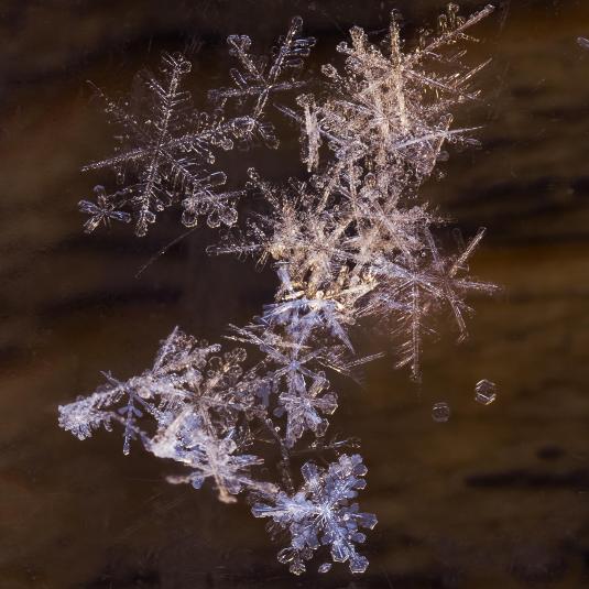 5cc408ccff6d42255b78c48442541103