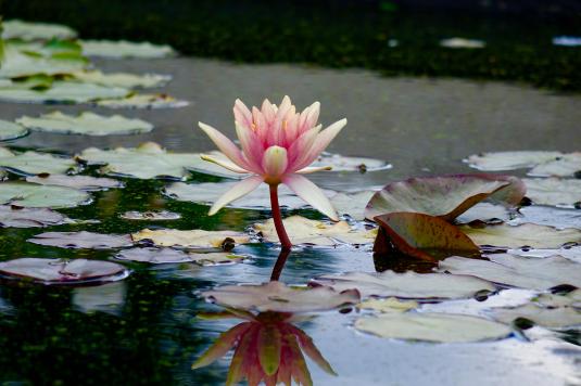 469899cb36f41fee3d17e594f4d6c0a5