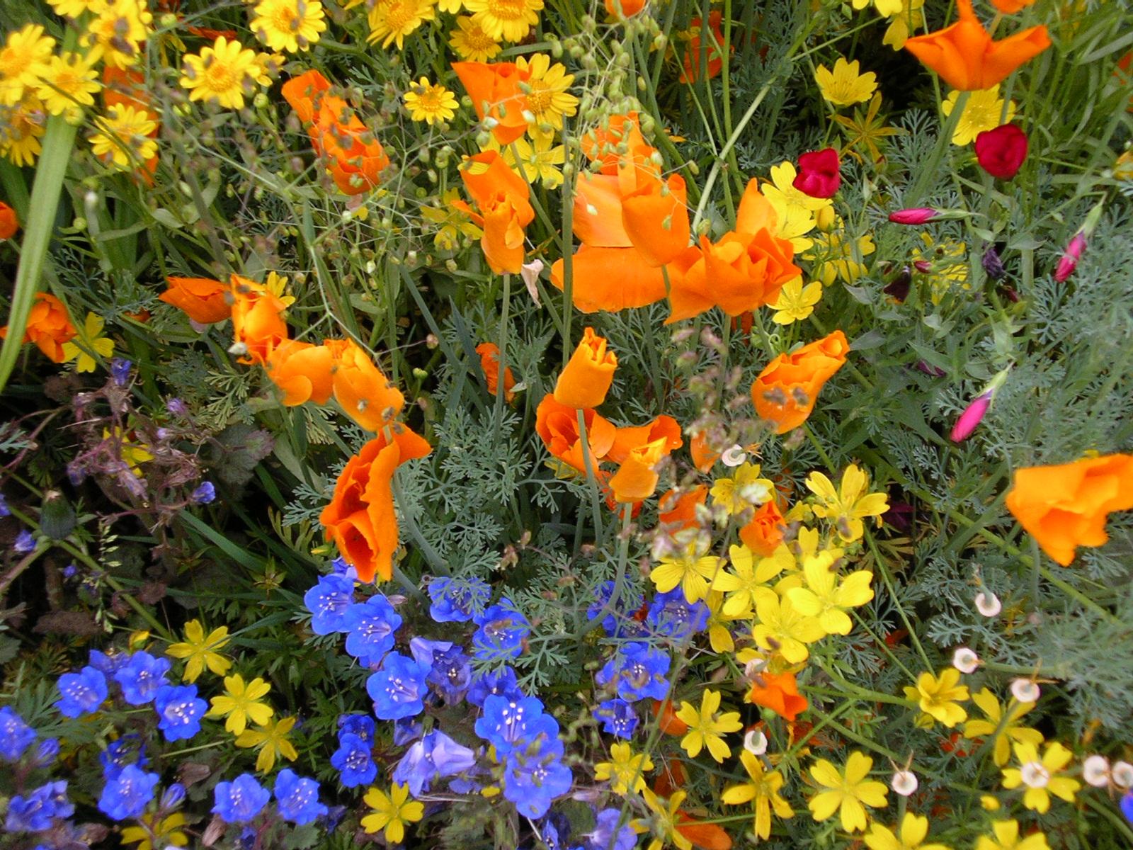 fefc8aef7684db104b3c0dc53a86529b